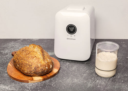 Sourdough Home Quick Start Guide