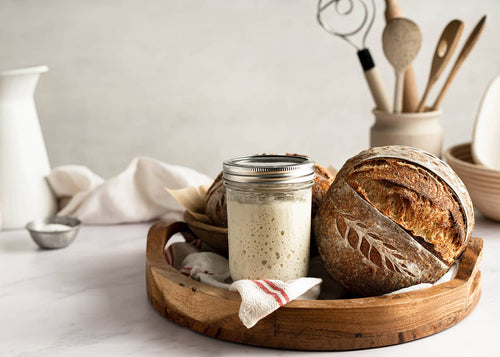 Starter Creation FAQ: Common Questions for New Sourdough Bakers