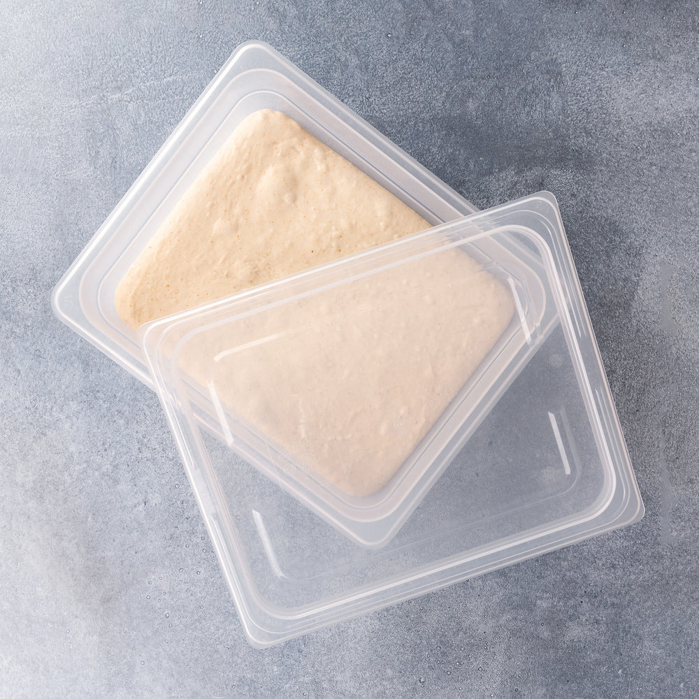 Proofing Container (6L)